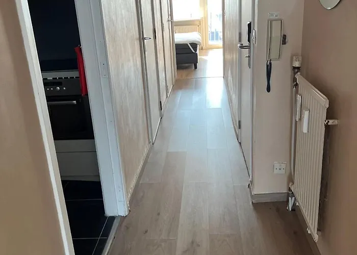 Luxe Seaview 公寓 布兰肯贝赫