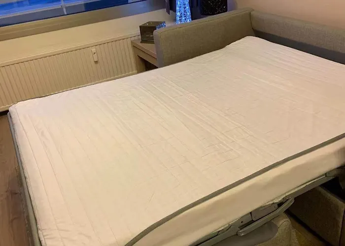 Luxe Seaview 公寓 布兰肯贝赫