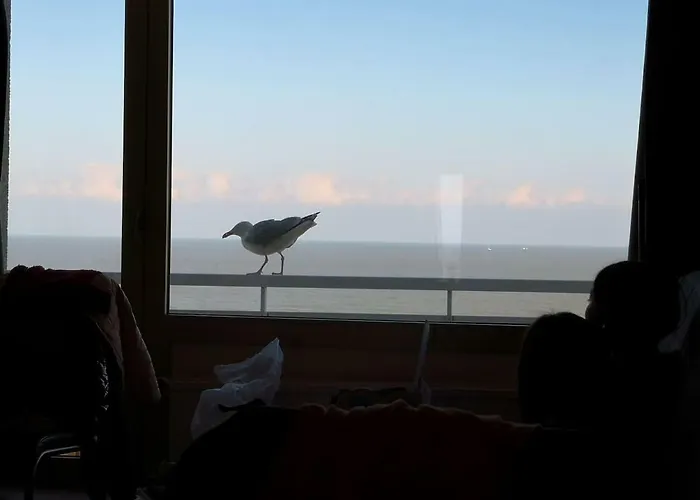 Luxe Seaview 布兰肯贝赫